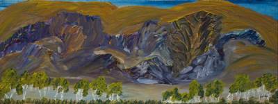 Australian Indigenous (Aboriginal and Torres Strait Islander) artwork by BILLY BENN of Mwerre Anthurre Artists (Bindi Inc). The title is Artetyerre. [BB080629] (Acrylic on Belgian Linen)