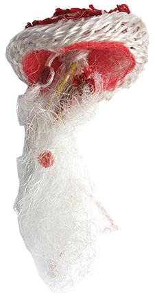 Australian Indigenous (Aboriginal and Torres Strait Islander) artwork by NANCY LOUISA KIWAT of Erub Erwer Meta. The title is Betty. [16-165] (Rope & Twine)