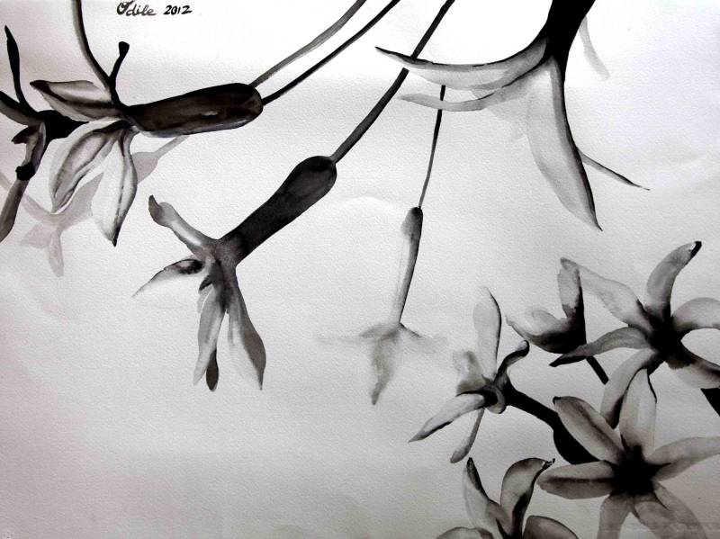 Australian Indigenous (Aboriginal and Torres Strait Islander) artwork by ODILE REGNIER of Miscellaneous Artists. The title is Black and white. [IMG_1880] (Water colour on paper)