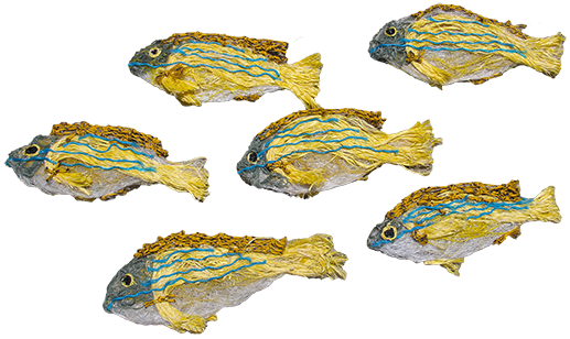 Australian Indigenous (Aboriginal and Torres Strait Islander) artwork by LYNNETTE GRIFFITHS of Miscellaneous Artists. The title is Blue Striped Snapper (Detail). [LG201705005] (Ghost Nets & Rope)