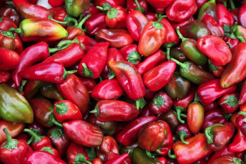 Australian Indigenous (Aboriginal and Torres Strait Islander) artwork by THIERRY REGNIER of Miscellaneous Artists. The title is Chilissimo!. [IMG_0125] (Print + Gloss Laminate)