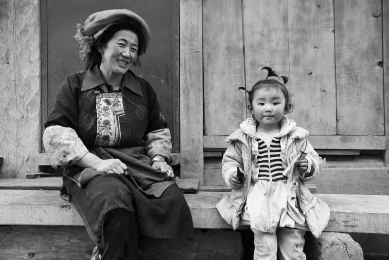 Australian Indigenous (Aboriginal and Torres Strait Islander) artwork by THIERRY REGNIER of Miscellaneous Artists. The title is Chocolate Palm Tree. [IMG_0914] (Print +  Gloss Laminate)