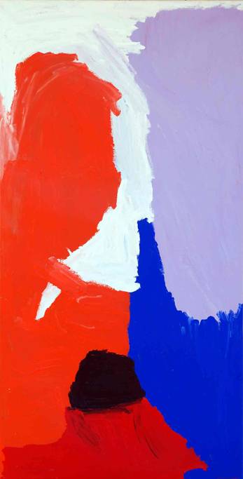 Australian Indigenous (Aboriginal and Torres Strait Islander) artwork by MIRDIDINGKINGATHI JUWARNDA SALLY GABORI of Mornington Island Artists. The title is Dibirdibi Country. [2268-L-SG-0507] (Synthetic Polymer Paint on Linen)