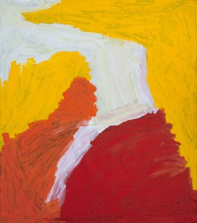 Australian Indigenous (Aboriginal and Torres Strait Islander) artwork by MIRDIDINGKINGATHI JUWARNDA SALLY GABORI of Mornington Island Artists. The title is Dibirdibi Country. [2451-L-SG-0807] (Synthetic Polymer Paint on Linen)