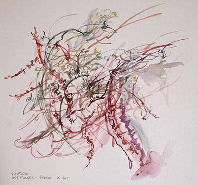 Australian Indigenous (Aboriginal and Torres Strait Islander) artwork by VICTORIA CATTONI of Miscellaneous Artists. The title is Dry Flowers & Leaves. [VC_wp1-14_2015] (Watercolour on Paper)