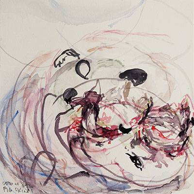 Australian Indigenous (Aboriginal and Torres Strait Islander) artwork by VICTORIA CATTONI of Miscellaneous Artists. The title is Fig Skins 1. [VC_wp3-9_2012] (Watercolour on Paper )