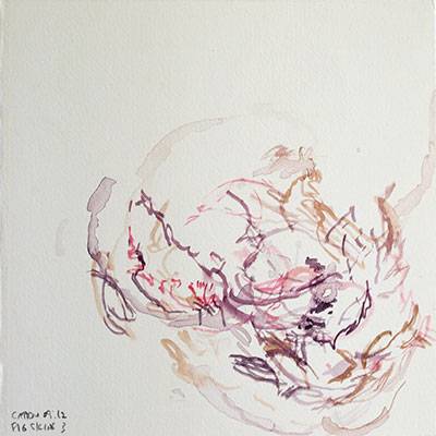 Australian Indigenous (Aboriginal and Torres Strait Islander) artwork by VICTORIA CATTONI of Miscellaneous Artists. The title is Fig Skins 3. [VC_wp3-11_2012] (Watercolour on Paper)