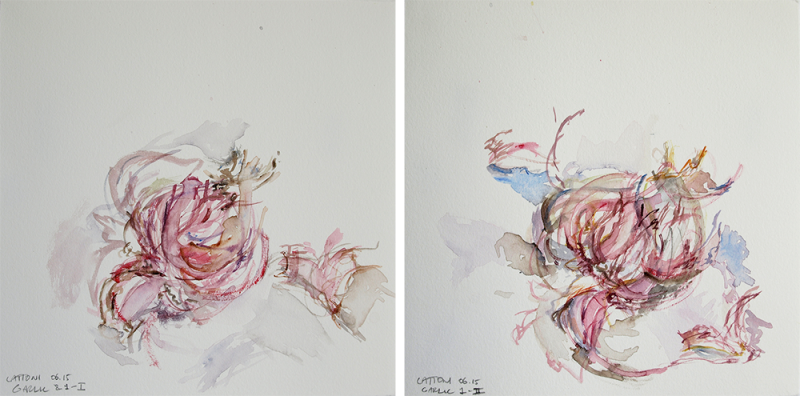 Australian Indigenous (Aboriginal and Torres Strait Islander) artwork by VICTORIA CATTONI of Miscellaneous Artists. The title is Garlic 1-I & Garlic 1-II (Set of 2). [VC_wp2-9_2015] (Watercolour on Paper)