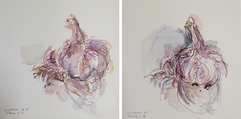 Australian Indigenous (Aboriginal and Torres Strait Islander) artwork by VICTORIA CATTONI of Miscellaneous Artists. The title is Garlic 2-I & Garlic 2-II (Set of 2). [VC_wp2-10_2015] (Watercolour on Paper)