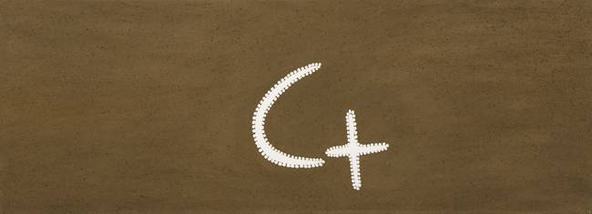 Australian Indigenous (Aboriginal and Torres Strait Islander) artwork by MABEL JULI of Warmun Artists. The title is Garnkiny Ngarrangkarni. [WAC 053/08] (Natural Ochre and Pigments on Canvas)