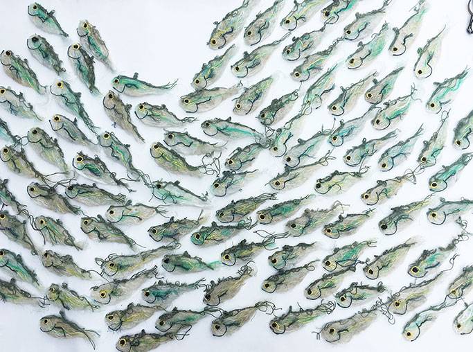 Australian Indigenous (Aboriginal and Torres Strait Islander) artwork by LYNNETTE GRIFFITHS of Miscellaneous Artists. The title is Golden Strip Sardines (Detail). [LG201705006] (Ghost Nets & Rope)