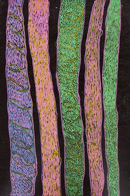 Australian Indigenous (Aboriginal and Torres Strait Islander) artwork by NGARRALJA TOMMY MAY of Mangkaja Artists. The title is Jilji and Bila. [176/15] (Atelier Acrylic Paint on Plywood)