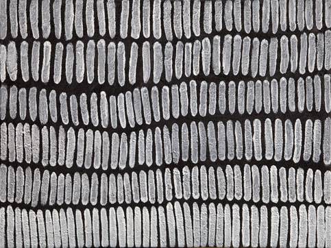 Australian Indigenous (Aboriginal and Torres Strait Islander) artwork by LENA NYADBI of Warmun Artists. The title is Jimbirla. [WAC026/10] (Natural Ochre and Pigments on Canvas)