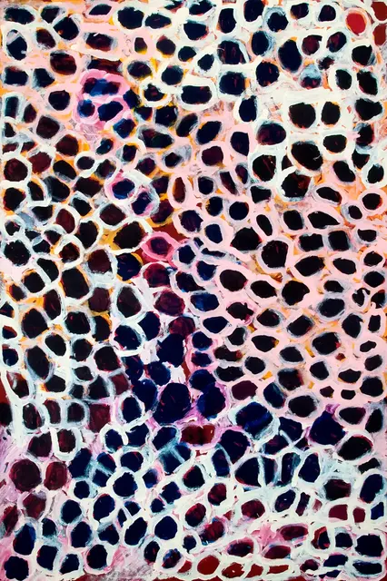 Australian Indigenous (Aboriginal and Torres Strait Islander) artwork by HARRY TJUTJUNA of Ninuku Arts. The title is Kungka Tjuta. [NKHT12415] (Acrylic on Linen)