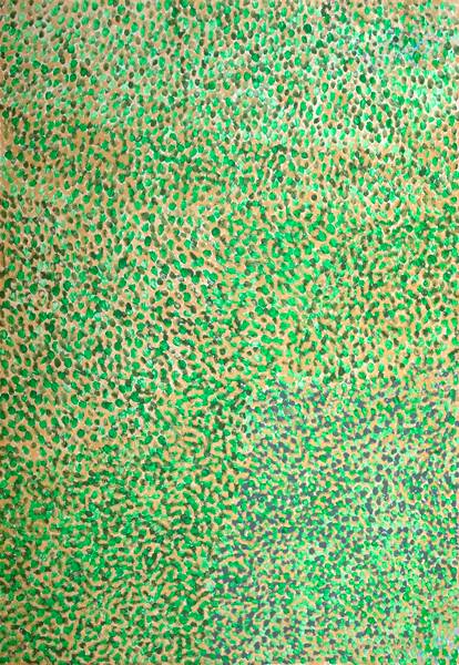 Australian Indigenous (Aboriginal and Torres Strait Islander) artwork by MUUKI TAYLOR of Martumili Artists. The title is Kulyakartu. [09-1199] (Acrylic on Linen)