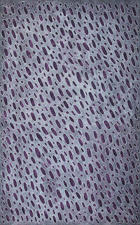 Australian Indigenous (Aboriginal and Torres Strait Islander) artwork by JANE YOUNG of Tangentyere Artists. The title is Little Rocks in Simpson Desert. [JY10C3844] (Acrylic on Canvas)