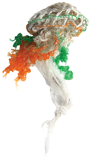 Australian Indigenous (Aboriginal and Torres Strait Islander) artwork by ELLAROSE SAVAGE of Erub Erwer Meta. The title is Lucy Loo. [16-160] (Rope & Twine)