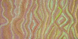 Australian Indigenous (Aboriginal and Torres Strait Islander) artwork by GERALDINE NOWEE of Warlayirti Artists (Balgo). The title is Minyilpa. [320/15] (Acrylic on Linen)