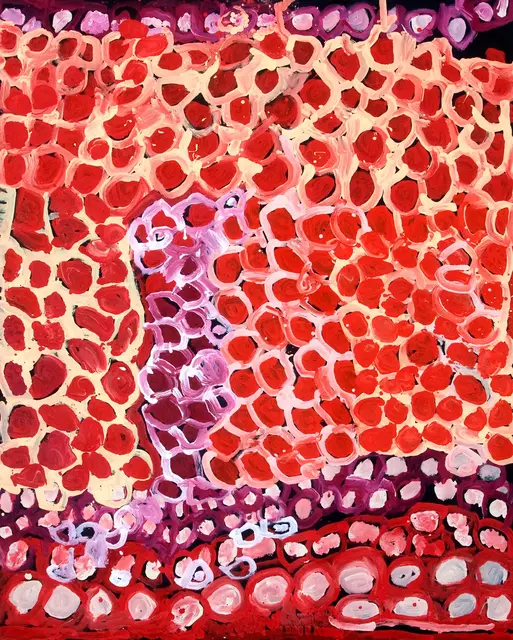 Australian Indigenous (Aboriginal and Torres Strait Islander) artwork by HARRY TJUTJUNA of Ninuku Arts. The title is Mututa Tjukurpa. [NKHT12416] (Acrylic on Linen)