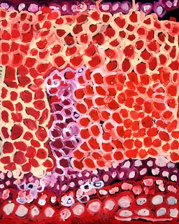 Australian Indigenous (Aboriginal and Torres Strait Islander) artwork by HARRY TJUTJUNA of Ninuku Arts. The title is Mututa Tjukurpa. [NKHT12416] (Acrylic on Linen)