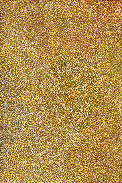 Australian Indigenous (Aboriginal and Torres Strait Islander) artwork by VERONICA LULU of Warlayirti Artists (Balgo). The title is Mulan. [1294/08] (Acrylic on Canvas)