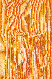 Australian Indigenous (Aboriginal and Torres Strait Islander) artwork by WENDY WISE of Warlayirti Artists (Balgo). The title is Mulan. [31/10] (Acrylic on Canvas)