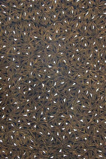 Australian Indigenous (Aboriginal and Torres Strait Islander) artwork by MARIA JOSETTE ORSTO of Munupi Artists. The title is Miyinga. [16-167] (Ochre on Linen)
