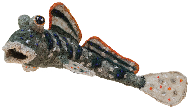 Australian Indigenous (Aboriginal and Torres Strait Islander) artwork by SUE RYAN of Miscellaneous Artists. The title is Mudskipper. [SR_2015_01] (Ghost Nets & Mono-filament over Wire Frame)