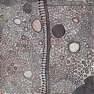 Australian Indigenous (Aboriginal and Torres Strait Islander) artwork by YINARUPA NANGALA of Papunya Tula Artists. The title is Mukula. [YN0904034] (Acrylic on Linen)