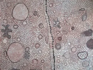 Australian Indigenous (Aboriginal and Torres Strait Islander) artwork by YINARUPA NANGALA of Papunya Tula Artists. The title is Mukula. [YN0909111] (Acrylic on Belgian Linen)