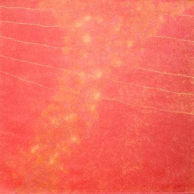 Australian Indigenous (Aboriginal and Torres Strait Islander) artwork by KATHLEEN PETYARRE of Miscellaneous Artists. The title is My Country - Bush Seeds. [GAKP1110622] (Synthetic Polymer on Belgian Linen)