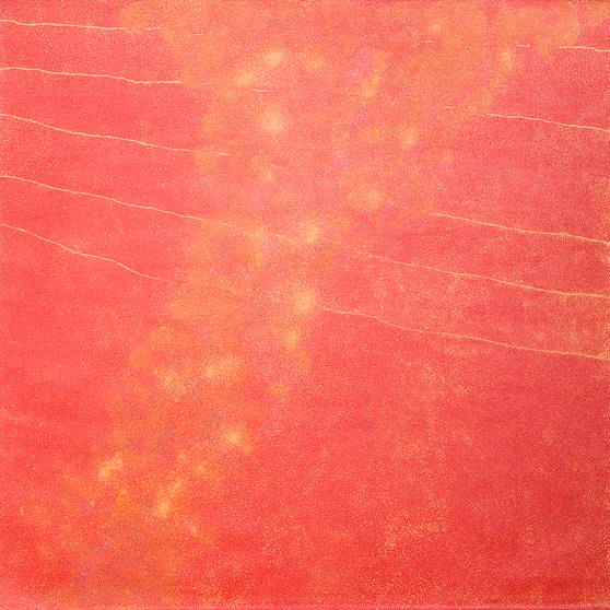 Australian Indigenous (Aboriginal and Torres Strait Islander) artwork by KATHLEEN PETYARRE of Miscellaneous Artists. The title is My Country - Bush Seeds. [GAKP1110622] (Synthetic Polymer on Belgian Linen)