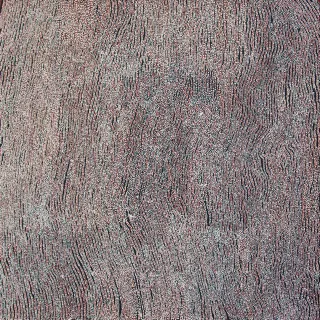 Australian Indigenous (Aboriginal and Torres Strait Islander) artwork by NANYUMA NAPANGATI of Papunya Tula Artists. The title is Ngaru. [NN1509060] (Acrylic on Belgian Linen)