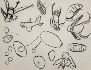 Australian Indigenous (Aboriginal and Torres Strait Islander) artwork by NOLA YURNANGURNU CAMPBELL of Warakurna Artists. The title is Ngikin Ngikin. [639-17] (Ink on Paper)