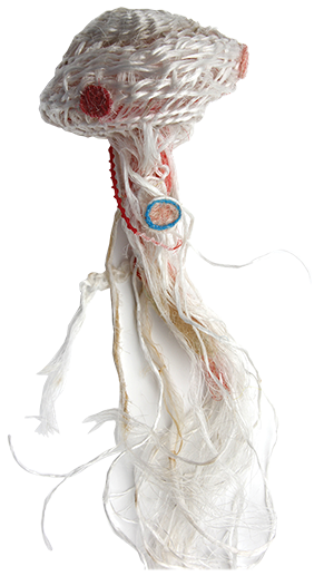 Australian Indigenous (Aboriginal and Torres Strait Islander) artwork by NANCY LOUISA KIWAT of Erub Erwer Meta. The title is Nubz. [16-153] (Rope & Twine)