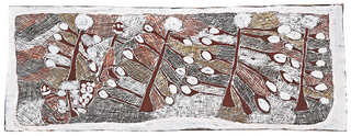Australian Indigenous (Aboriginal and Torres Strait Islander) artwork by NYAPANYAPA YUNUPINGU of Buku-Larrnggay Mulka (Yirrkala). The title is Picking Wild Apples. [3424K] (Natural Earth Pigments on Bark)