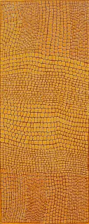 Australian Indigenous (Aboriginal and Torres Strait Islander) artwork by NARRABRI NAKAMARRA of Papunya Tula Artists. The title is Payarrnga. [NN0701029] (Acrylic on Canvas)