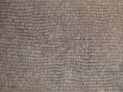 Australian Indigenous (Aboriginal and Torres Strait Islander) artwork by ALISON PURUNTATAMERI of Munupi Artists. The title is Pwoja Jilamara. [20-264] (Ochre on Canvas)