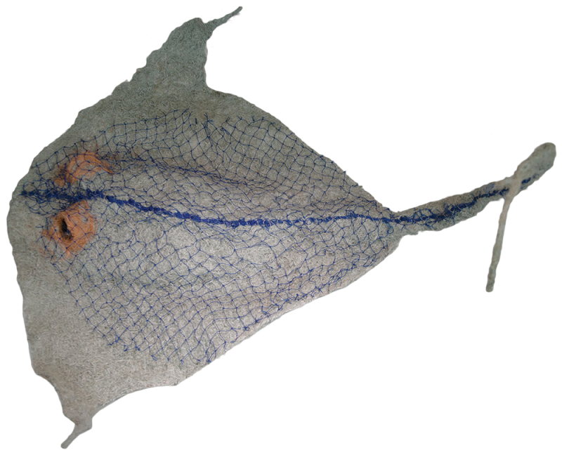 Australian Indigenous (Aboriginal and Torres Strait Islander) artwork by MARION GAEMERS of Miscellaneous Artists. The title is Ray. [MG_2015_05] (Ghost Nets, Wire Frame & Rope)