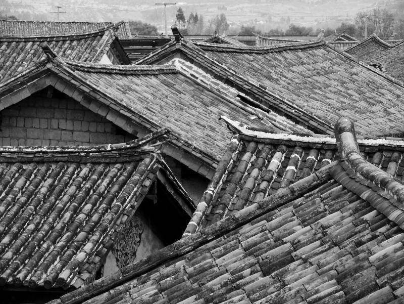 Australian Indigenous (Aboriginal and Torres Strait Islander) artwork by THIERRY REGNIER of Miscellaneous Artists. The title is Roof Dragon. [SDC12103] (Print +  Gloss Laminate)