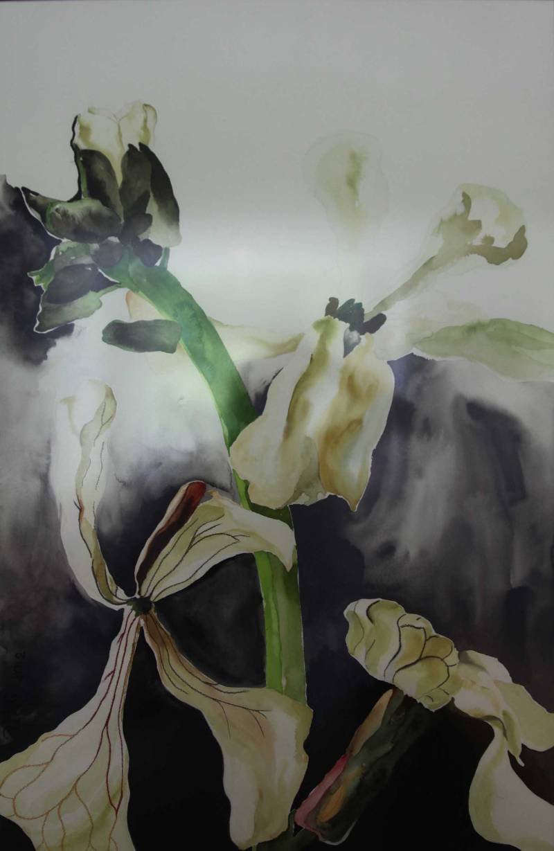 Australian Indigenous (Aboriginal and Torres Strait Islander) artwork by ODILE REGNIER of Miscellaneous Artists. The title is Roquette flowers. [IMG_1867] (Water colour and pastel on paper)