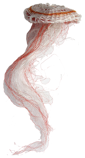 Australian Indigenous (Aboriginal and Torres Strait Islander) artwork by RACY OUI-PITT of Erub Erwer Meta. The title is Rosey. [16-154] (Rope & Twine)