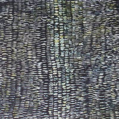 Australian Indigenous (Aboriginal and Torres Strait Islander) artwork by JOSHUA BONSON of Miscellaneous Artists. The title is Skin. [JB0575] (Synthetic Polymer Paint on Linen)