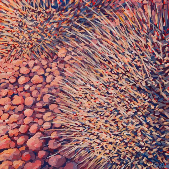 Australian Indigenous (Aboriginal and Torres Strait Islander) artwork by SARAH BROWN of Miscellaneous Artists. The title is Spinifex Close Up. [SB201610045] (Acrylic on Gesso Board)