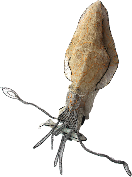 Australian Indigenous (Aboriginal and Torres Strait Islander) artwork by JIMMY JOHN THAIDAY of Erub Erwer Meta. The title is Squid. [16-132] (Ghost Nets, Plastic Trellis, Rope & Twine)