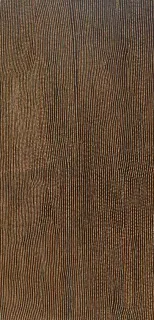 Australian Indigenous (Aboriginal and Torres Strait Islander) artwork by FLORRIE WATSON NAPANGATI of Papunya Tula Artists. The title is Tanyinki. [FW0803120] (Acrylic on Canvas)