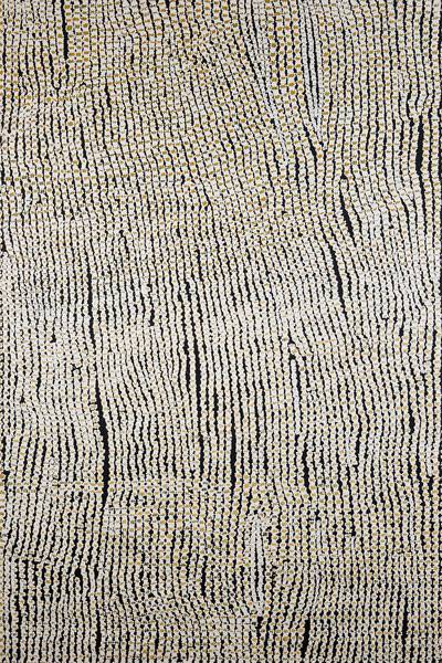 Australian Indigenous (Aboriginal and Torres Strait Islander) artwork by BRIAN MUDGEDELL of Warlayirti Artists (Balgo). The title is Tjintjintjin. [558-19] (Acrylic on Linen)