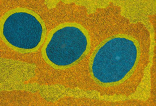 Australian Indigenous (Aboriginal and Torres Strait Islander) artwork by ATIPALKU INTJALKI of Ernabella Artists. The title is Tjukurpa Mulayangu. [267-12] (Acrylic on Canvas)