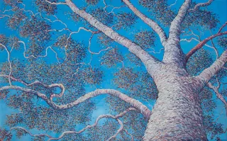 Australian Indigenous (Aboriginal and Torres Strait Islander) artwork by SARAH BROWN of Miscellaneous Artists. The title is Trephina Ghost Gum. [SB201610009] (Acrylic on Belgian Linen)