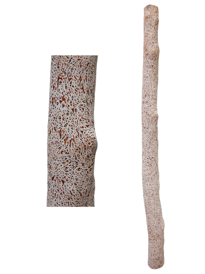 Australian Indigenous (Aboriginal and Torres Strait Islander) artwork by WUKUN WANAMBI of Buku-Larrnggay Mulka (Yirrkala). The title is Trial Bay. [4791A] (Earth Pigments on Hollow Log - Larrakitj)